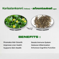 raw herbs - karisalanganni yellow1