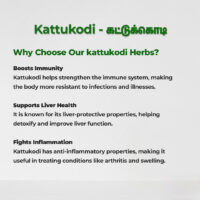 raw herbs - kattukodi2