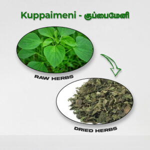 Kuppaimeni - Raw Herbs