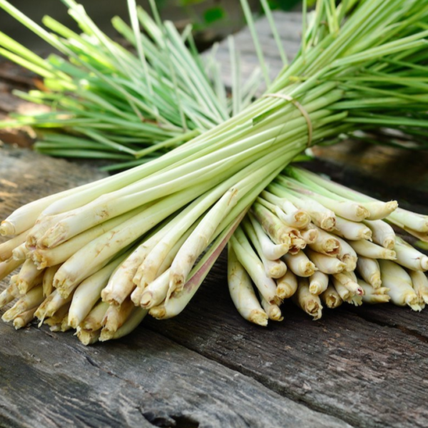 Second image of Lemon Grass - Raw Herbs