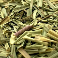raw herbs - lemon grass1