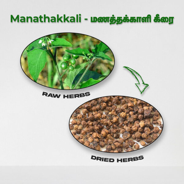 Manathakkali Keerai - Raw Herbs