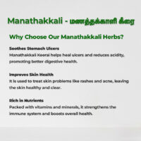 raw herbs - manathakkali2
