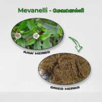 raw herbs - mevanelli