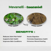 raw herbs - mevanelli1