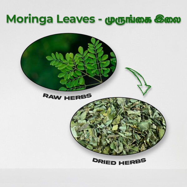 Moringa Leaves - Raw Herbs