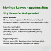 raw herbs - moringa leaves2