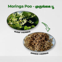 raw herbs - moringa poo