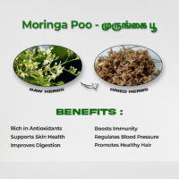 raw herbs - moringa poo1