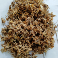raw herbs - moringa poo3