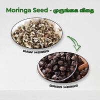 raw herbs - moringa seed