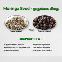 raw herbs - moringa seed1