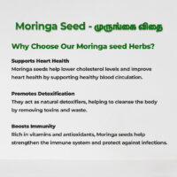raw herbs - moringa seed2