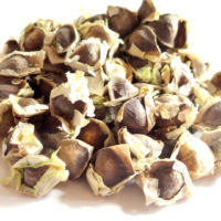 raw herbs - moringa seed3