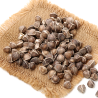 raw herbs - moringa seed4