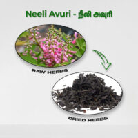 raw herbs - neeli avuri