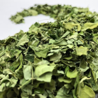 raw herbs - neeli avuri4