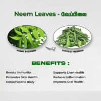 raw herbs - neem leaves1