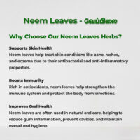 raw herbs - neem leaves2