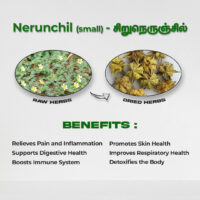 raw herbs - nerunjil small1