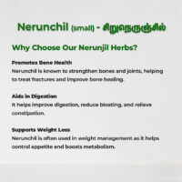 raw herbs - nerunjil small2