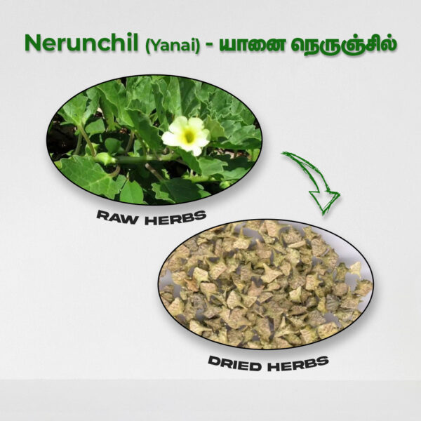Nerunchil (Yanai) - Raw Herbs