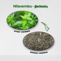 raw herbs - nilavembu3
