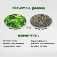 raw herbs - nilavembu4