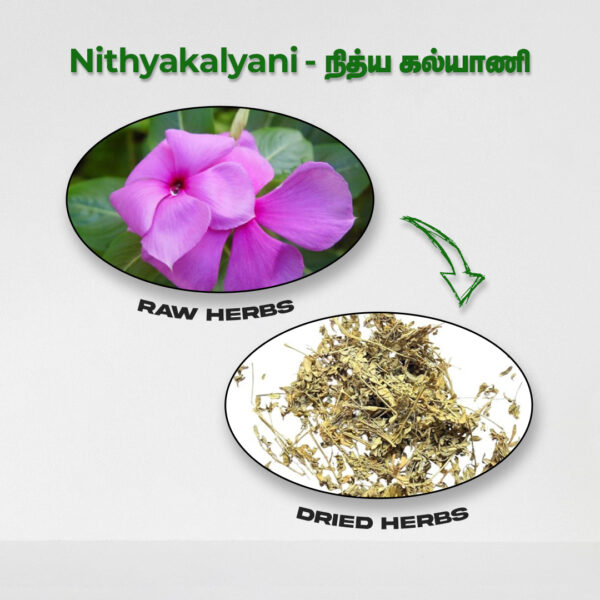Nithyakalyani - Raw Herbs