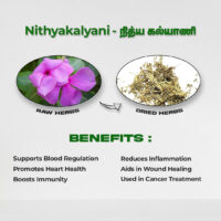 raw herbs - nithyakalyani4