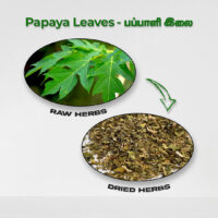 raw herbs - papaya3