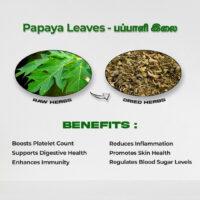 raw herbs - papaya4