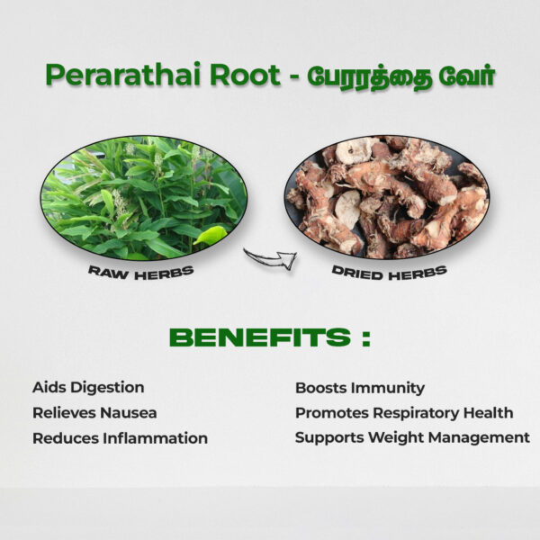 Perarathai Root - Raw Herbs