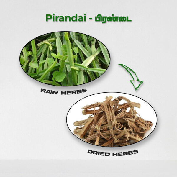 Pirandai - Raw Herbs