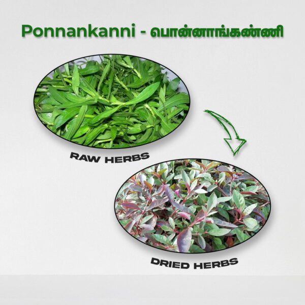 Ponnankanni Keerai - Raw Herbs