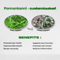 raw herbs - ponnankanni4