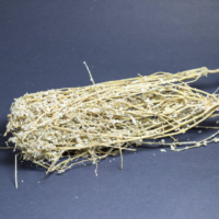 raw herbs - poolai poo