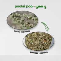 raw herbs - poolaipoo3