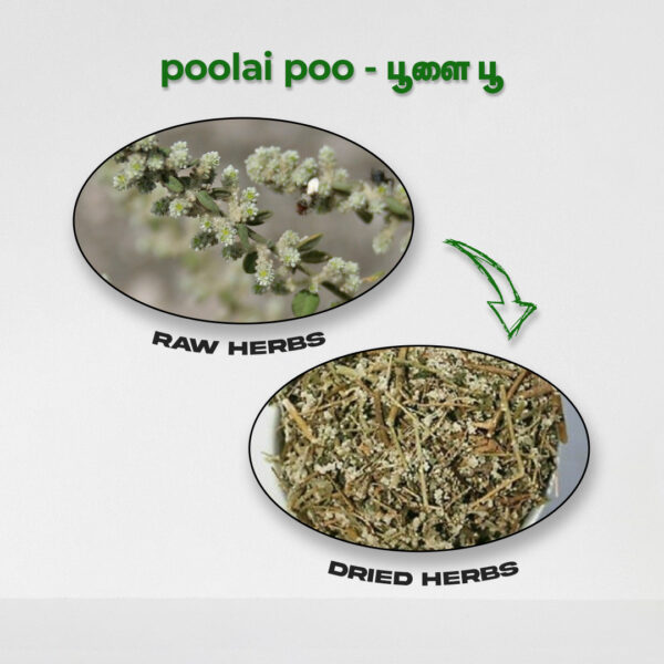 Poolai Poo - Raw Herbs