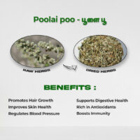 raw herbs - poolaipoo4