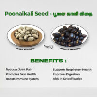 raw herbs - poonaikali seed4