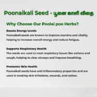 raw herbs - poonaikali seed5