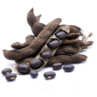 raw herbs - poonaikali seeds