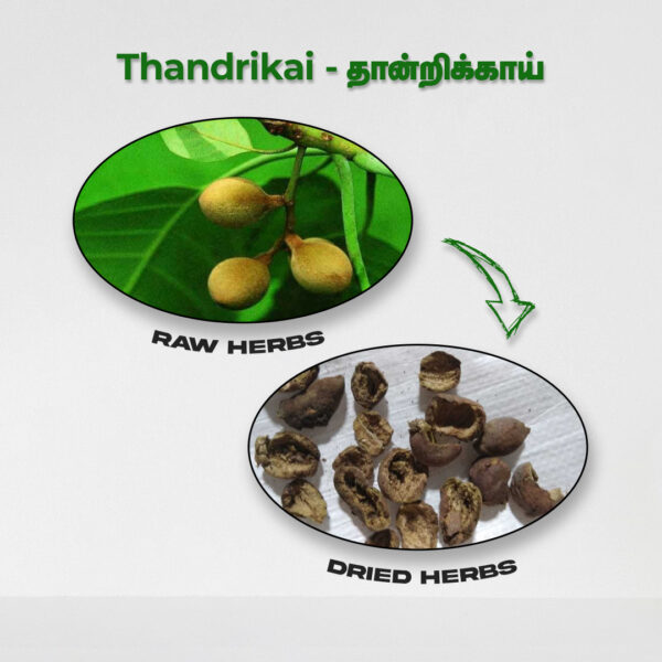 Thandrikai - Raw Herbs