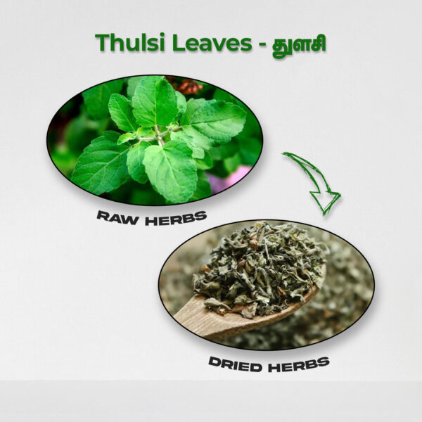 Thulsi Leaves - Raw Herbs