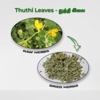 raw herbs - thuthi3